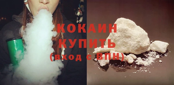 кокс Инсар