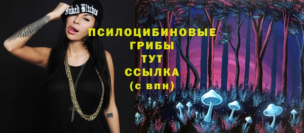 кокс Инсар