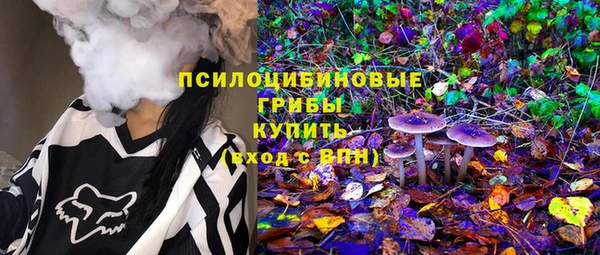 кокс Инсар