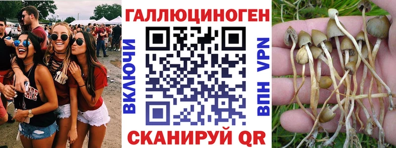 Галлюциногенные грибы Psilocybine cubensis  Купить где  Лебедянь 